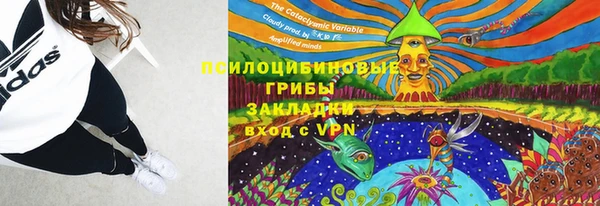 стаф Алексин