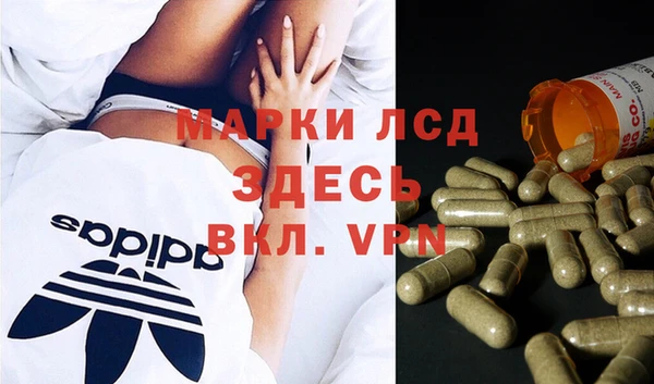 стаф Алексин