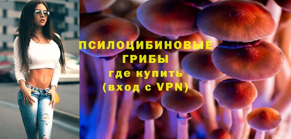 ALPHA-PVP Нязепетровск
