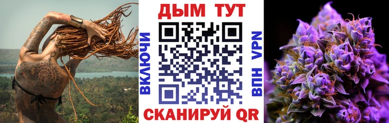 Конопля гибрид  Гусь-Хрустальный 